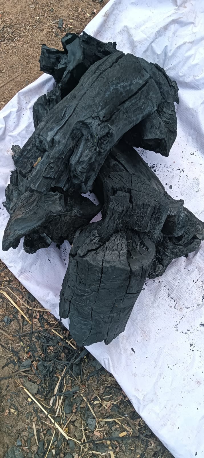 Export Grade Charcoal